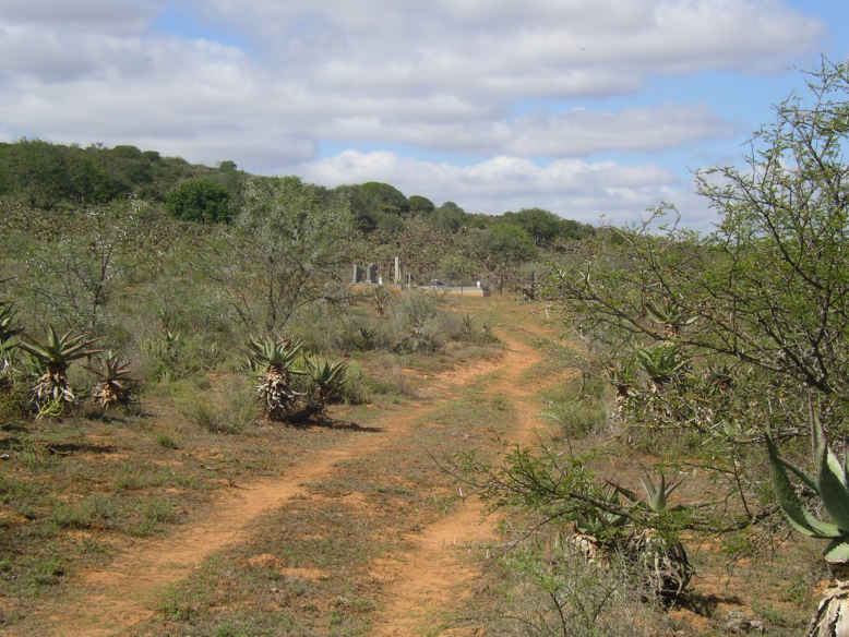 3. Road to the cemetery