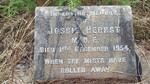 HERBST Jossie -1954