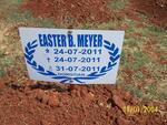 MEYER Easter B. 2011-2011