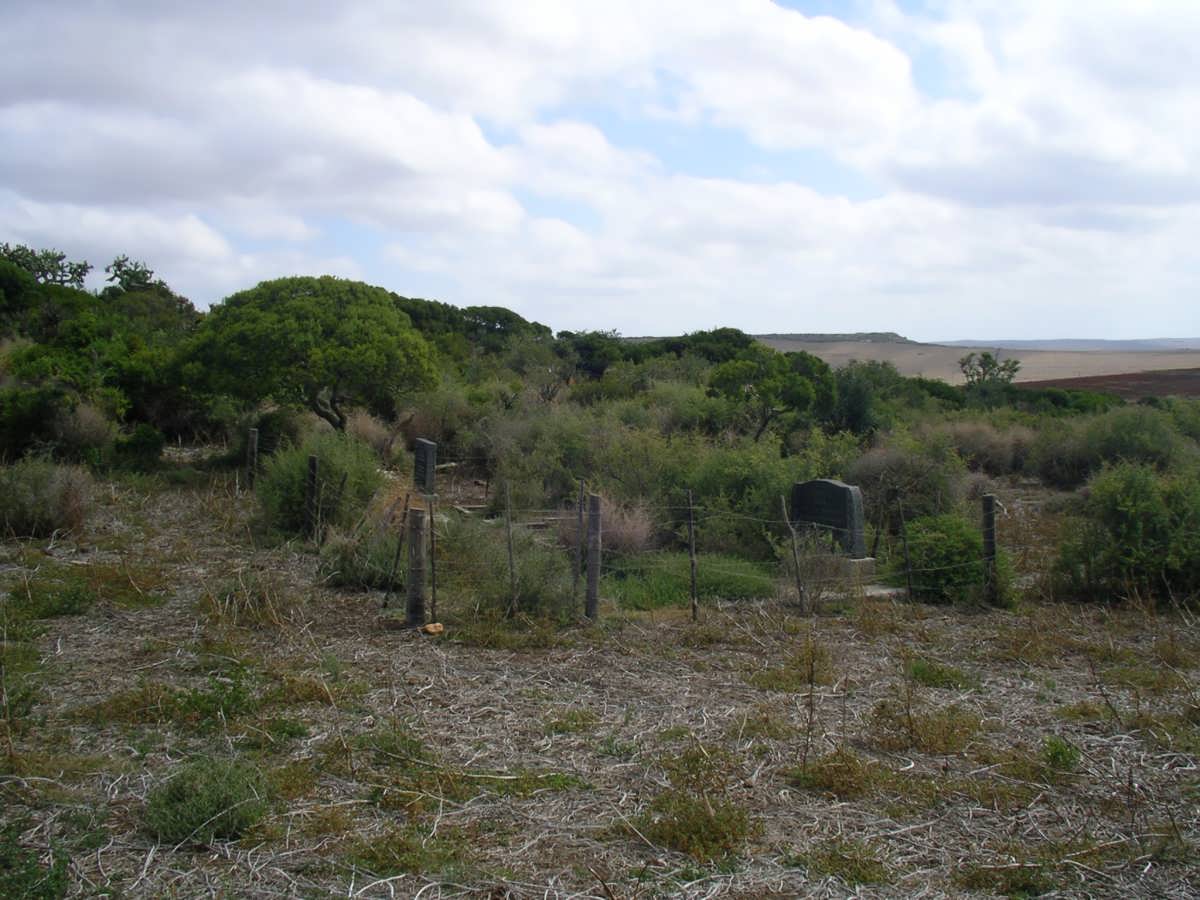 1. Overview on cemetery