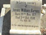 BARNES James William 1871-1938