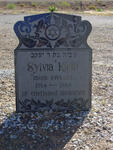KLEIN Sylvia 1914-1986