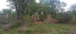 Zimbabwe, MASVINGO, District Masvingo, Pioneer cemetery