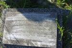 BRUUN Pieter 1881-1957