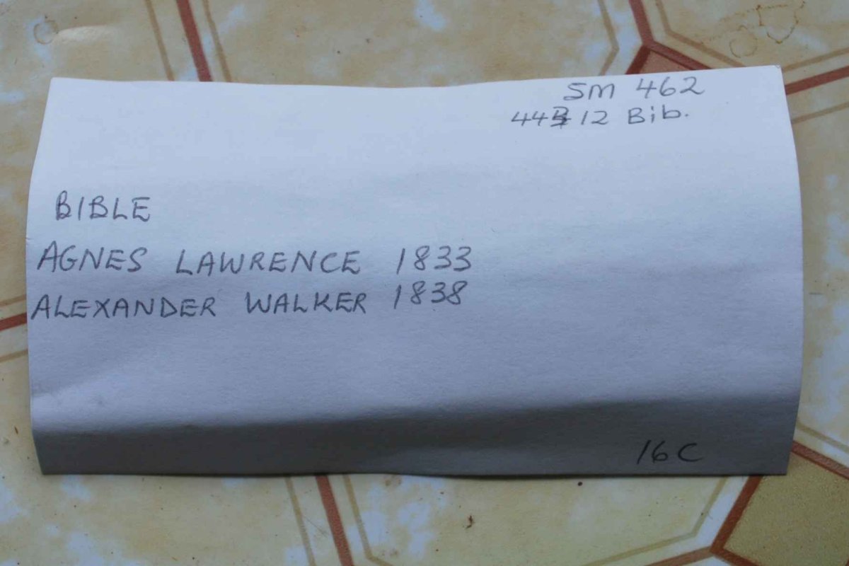 ALBM-SM-462-443-12-BIB_WALKER-LAURENCE_05 ALBM-SM-462-443-12-BIB_WALKER-LAURENCE_05