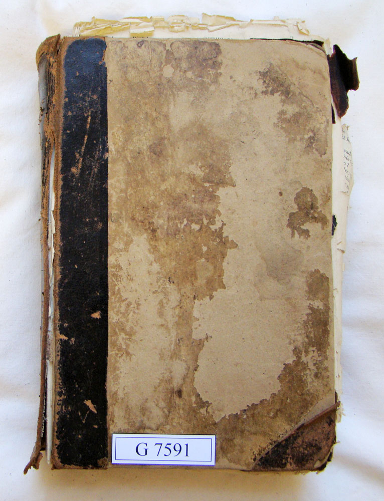 NM-Bftn-G-7591_POTGIETER_01 NM-Bftn-G-7591_POTGIETER_01