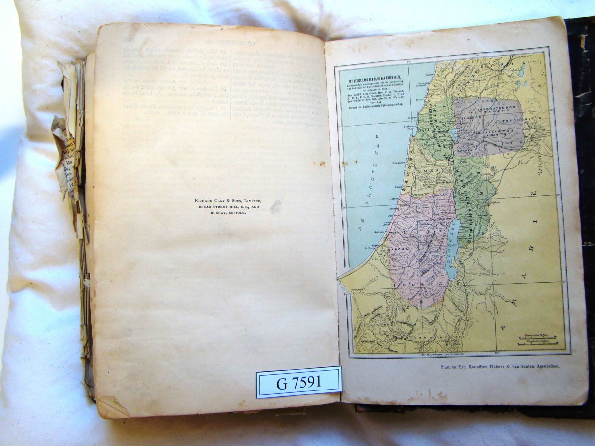 NM-Bftn-G-7591_POTGIETER_03 NM-Bftn-G-7591_POTGIETER_03