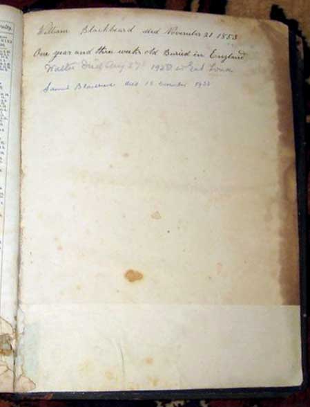 PRIV_BLACKBEARD-DE-VILLIERS_06 PRIV_BLACKBEARD-DE-VILLIERS_06